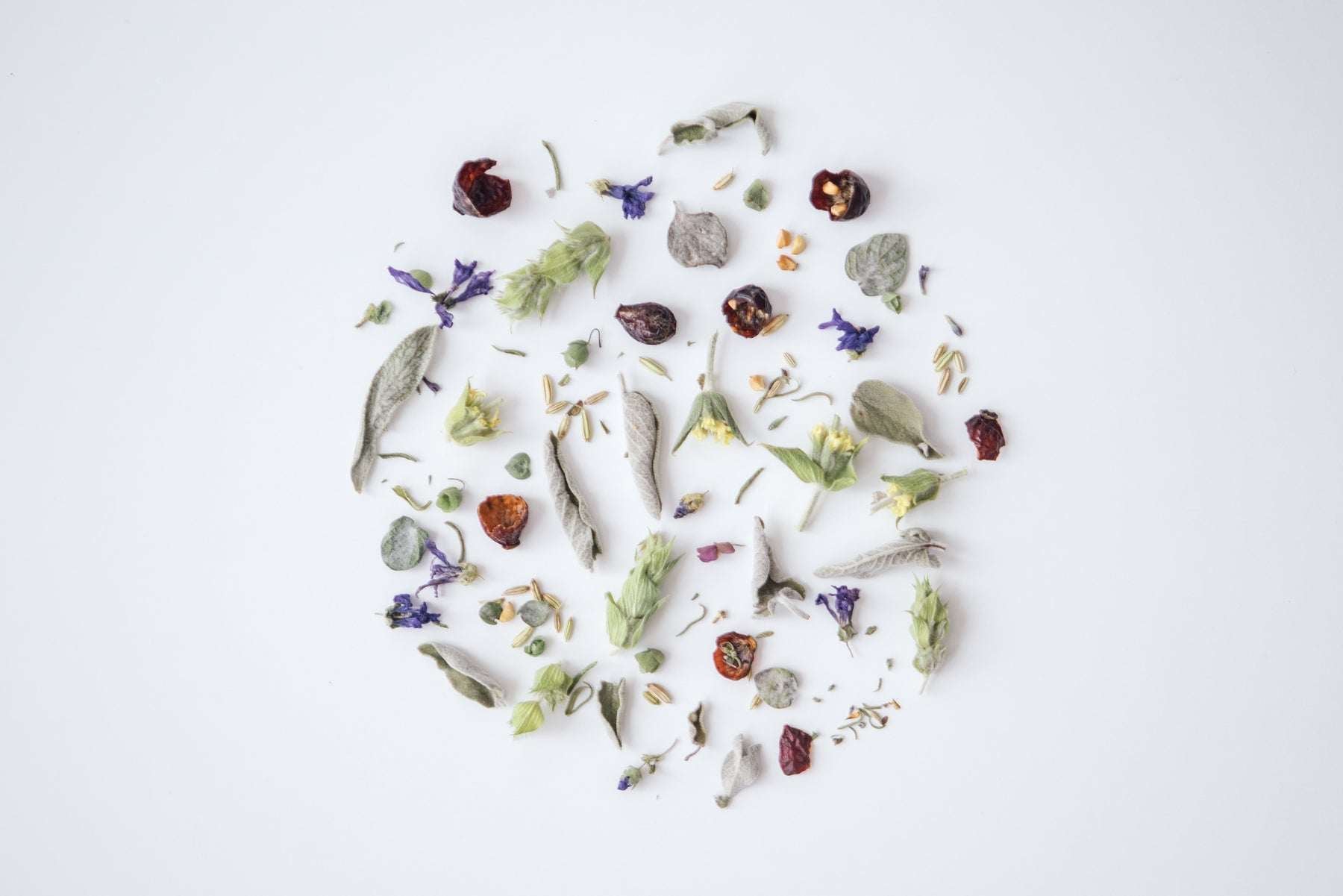 FOREST - Herbal tea blend - Rhoeco