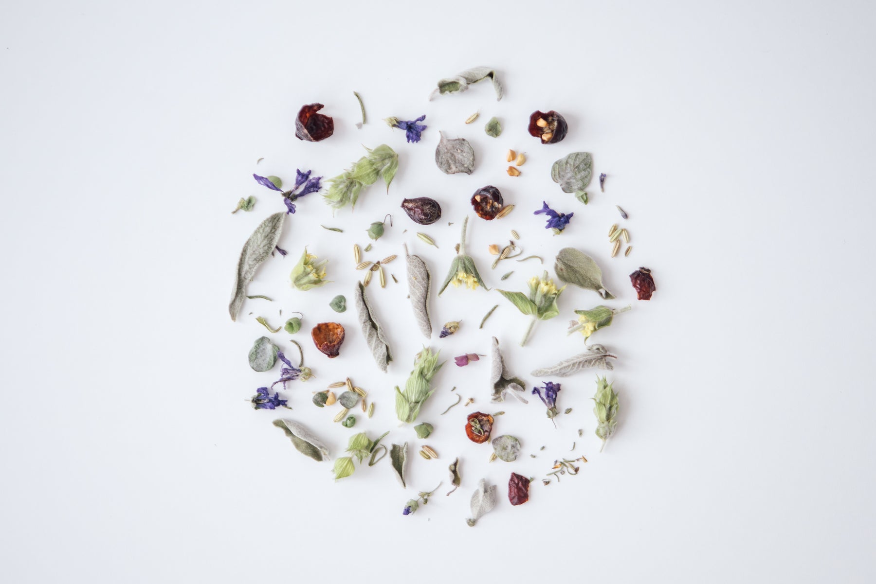 FOREST - Herbal tea blend - Rhoeco