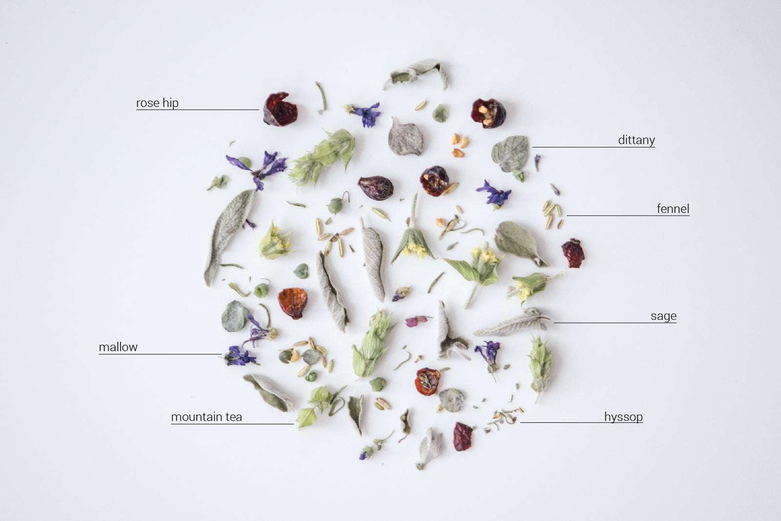 FOREST - Herbal tea blend - Rhoeco