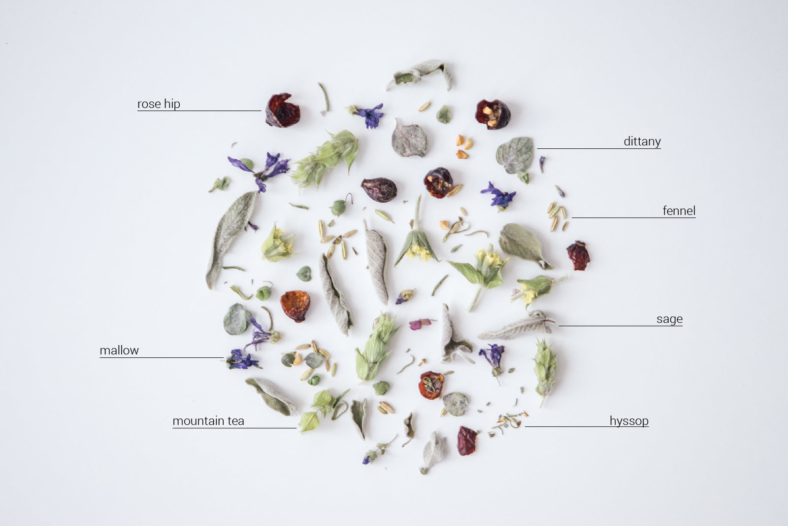 FOREST - Herbal tea blend - Rhoeco