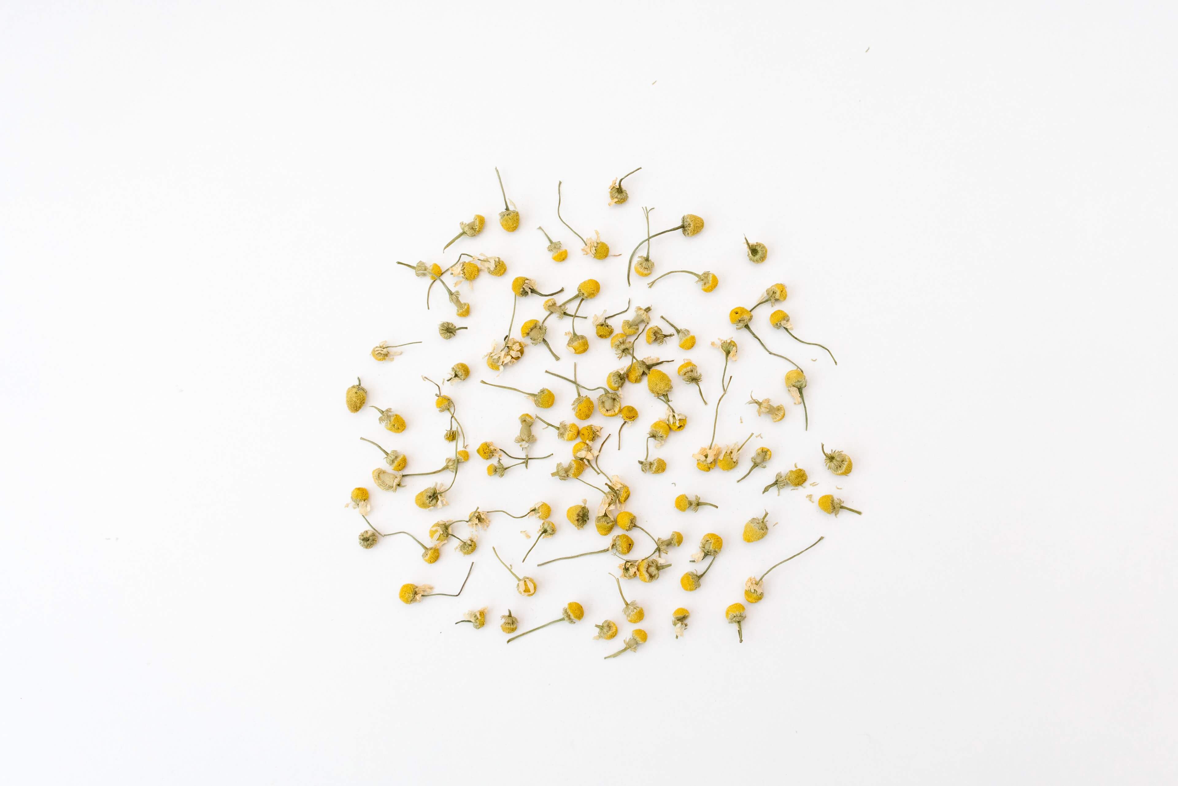 Rhoeco - ORGANIC CHAMOMILE, 40G